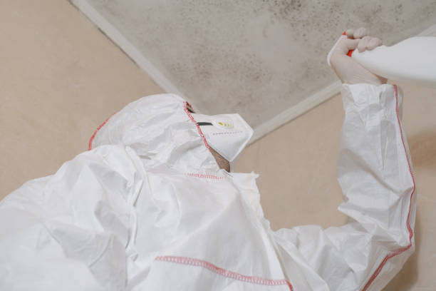 Best Residential Mold Remediation in Riverside, IL